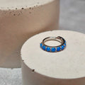 Hinged segment ring 28
