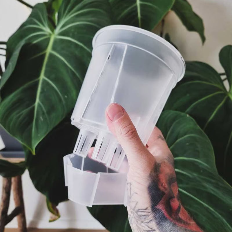 Transparent self watering pots