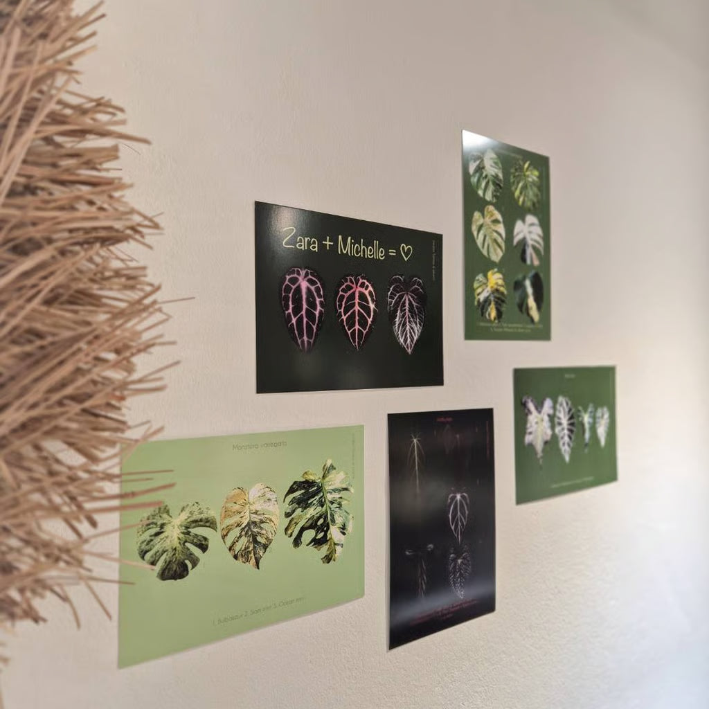 Botanical prints 148X210mm